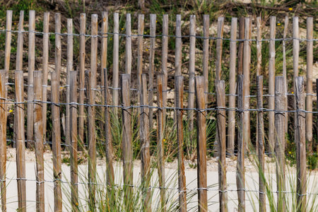 Traditional wooden sand dune fence along the Atlantic Ocean coastline in France. Rustic barrier used to protect dunes from erosion, with sand, grass and blue sea in the background on a sunny dayの写真素材