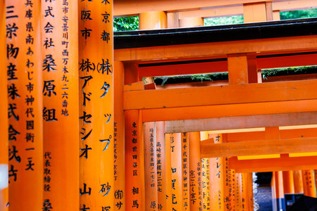 Fushimi Inari Shrine in Kyoto, Japan, known for thousands of red torii gates forming scenic paths through the forest and symbolizing the entrance to sacred Shinto spacesの写真素材