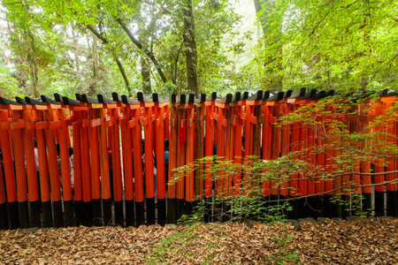 Fushimi Inari Shrine in Kyoto, Japan, known for thousands of red torii gates forming scenic paths through the forest and symbolizing the entrance to sacred Shinto spacesの写真素材
