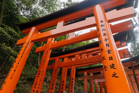 Fushimi Inari Shrine in Kyoto, Japan, known for thousands of red torii gates forming scenic paths through the forest and symbolizing the entrance to sacred Shinto spacesの写真素材