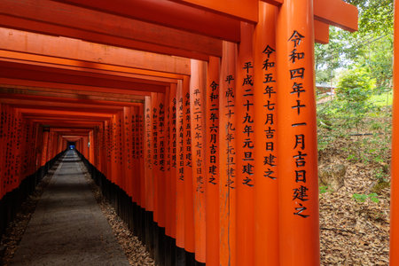 Fushimi Inari Shrine in Kyoto, Japan, known for thousands of red torii gates forming scenic paths through the forest and symbolizing the entrance to sacred Shinto spacesの写真素材