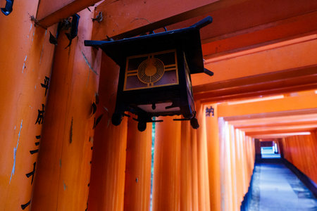 Fushimi Inari Shrine in Kyoto, Japan, known for thousands of red torii gates forming scenic paths through the forest and symbolizing the entrance to sacred Shinto spacesの写真素材