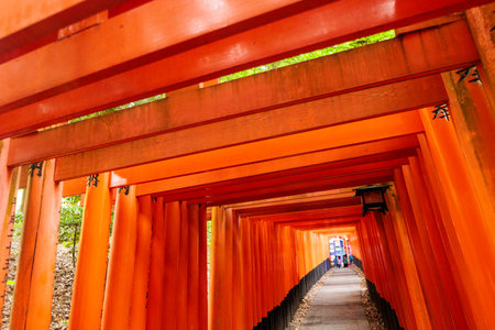 Fushimi Inari Shrine in Kyoto, Japan, known for thousands of red torii gates forming scenic paths through the forest and symbolizing the entrance to sacred Shinto spacesの写真素材