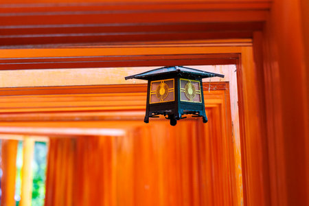 Fushimi Inari Shrine in Kyoto, Japan, known for thousands of red torii gates forming scenic paths through the forest and symbolizing the entrance to sacred Shinto spacesの写真素材