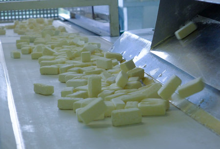 Industrial candy production process in a food factory. Workers sorting and shaping sweets on a...