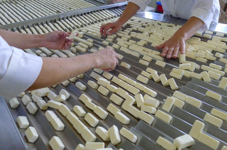 Industrial candy production process in a food factory. Workers sorting and shaping sweets on a...