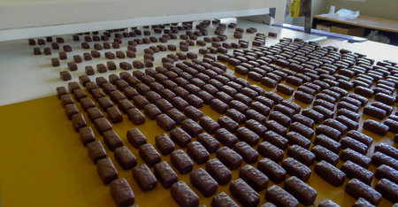 Industrial candy production process in a food factory. Workers sorting and shaping sweets on a...