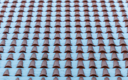 Snow covered tiled rooftops in winter. Traditional architecture with repeating roof patterns, cold weather and soft natural light. Clean winter scene suitable for seasonal and architectural conceptsの写真素材