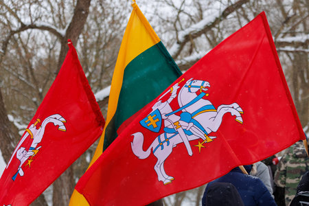 Flags waving outdoors during winter, symbolizing national identity, unity, and tradition. Cold weather and snowfall create a calm seasonal atmosphereの写真素材