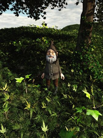 Small Gnome character with beard and pointed hood standing in the ivy on a forest floor, 3d digitally rendered illustrationの写真素材