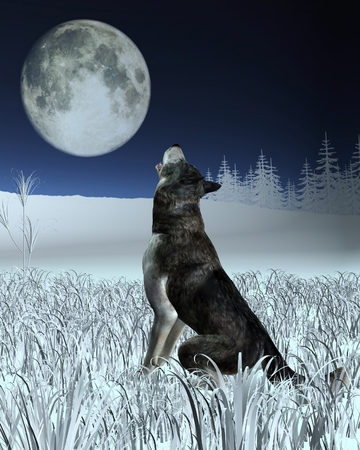 Fantasy illustration of a lone wolf in a winter landscape, howling at the full moon, 3d digitally rendered illustrationの写真素材
