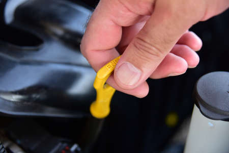 A Person Checking the Motor Oil in Their Carの写真素材