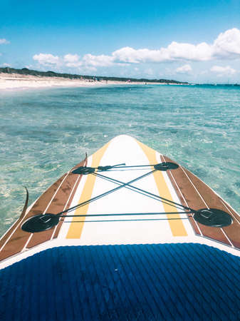Paddle surfboard on the sea near a transparent water beach shoreの写真素材