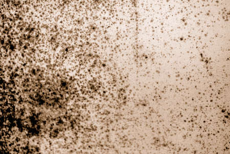 Fragment of moldy wall for grunge background. Sepia with noise.の写真素材