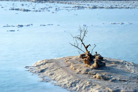 Hydrochloric outgrowths on the coast of Dead Seaの写真素材