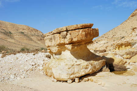 Stone boulder unusual shape. Desert Negev, Israel.の写真素材