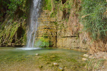 David's Waterfall. En Gedi Nature Reserve, Israelの写真素材