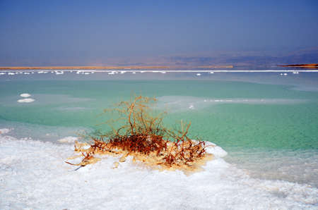 Beach of the Dead Sea. Israelの写真素材