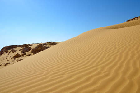 Rippled sand dunes under blue sky, southern Negev Desert, Israelの写真素材
