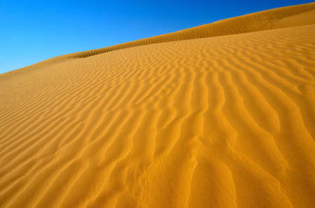Rippled sand dunes under blue sky, southern Negev Desert, Israelの写真素材