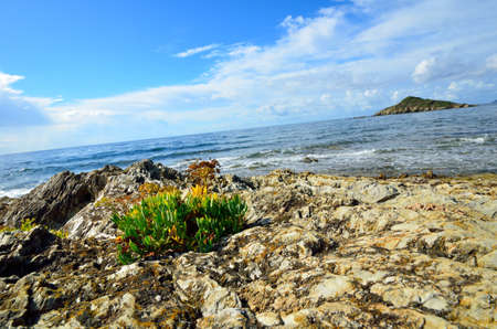 Rocky shore on the west coast of Sardinia. Italyの写真素材