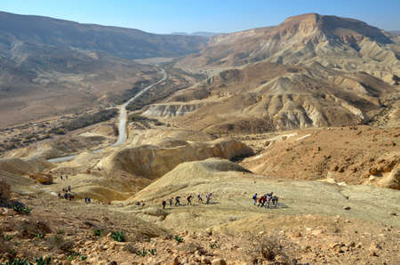 National park Ein Avdat. Negev Desert. Israelの写真素材