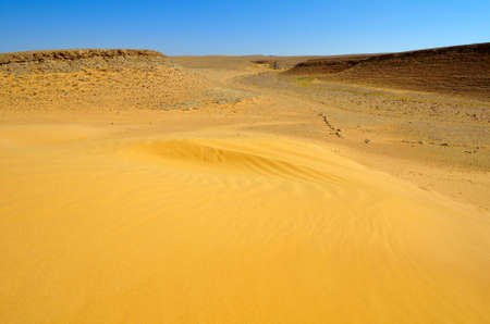 Sandy desert under blue sky, southern Negev, Israel の写真素材