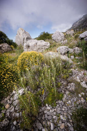 Spain Andalusia travel El Torcal Antequera National Park Malagaの写真素材