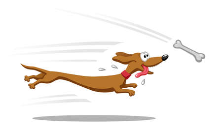 Dachshund dog running for bone. Vector illustration. Isolated on white background.のイラスト素材