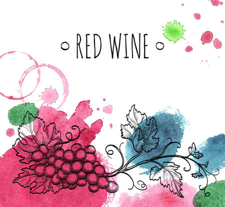 Wine background. Hand drawn vector illustration of grapes. Watercolor stains.のイラスト素材