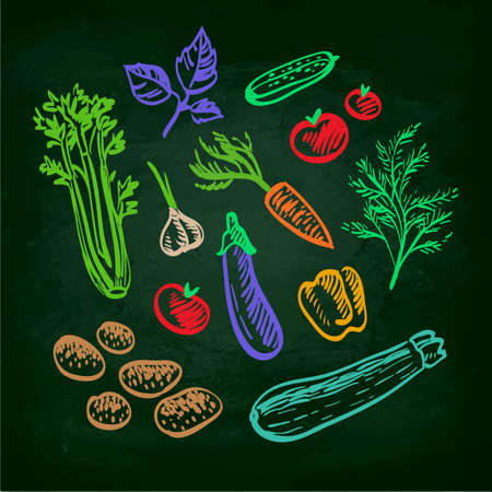 Set of vegetables. Hand drawn sketch on chalkboard.Vector illustrationのイラスト素材