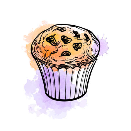 Hand drawn vector illustration of muffin with raisins. Watercolor background. Isolated on white.のイラスト素材