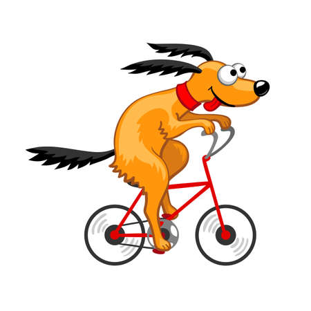 Cute dog riding a bicycle.  Vector illustration. Isolated on white background.のイラスト素材