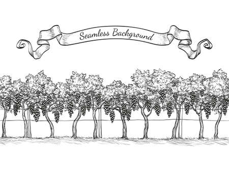 Vineyard seamless background.のイラスト素材