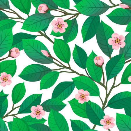 Cherry blossom seamless pattern.のイラスト素材