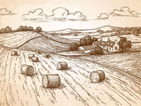 Field with haystacks.のイラスト素材