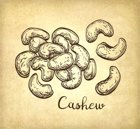 Handful of cashews.のイラスト素材