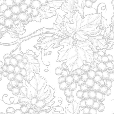 Seamless pattern with grapes. Hand drawn vector illustration.のイラスト素材
