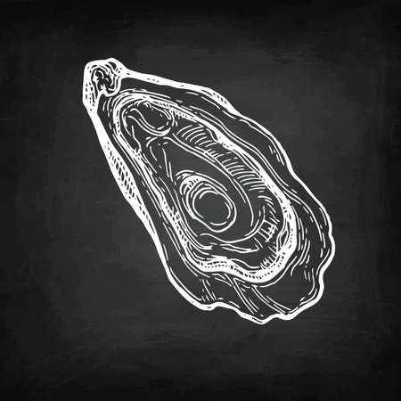 Oyster chalk sketch.のイラスト素材