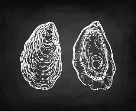 Oysters chalk sketch.のイラスト素材