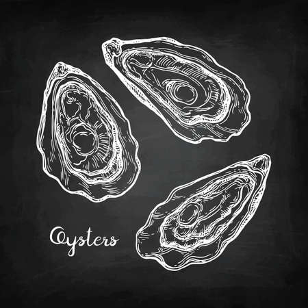Oysters chalk sketch.のイラスト素材