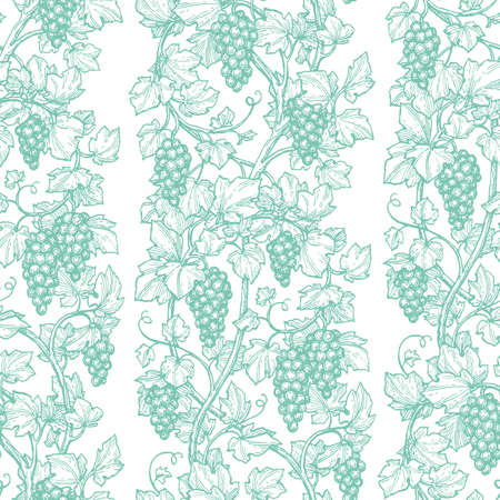 Pattern with grape Hand drawn Retro styleのイラスト素材