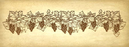 Ink sketch of grapes on old paper background illustration.のイラスト素材