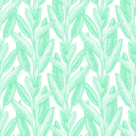 Seamless pattern. Sage ink sketch on white background. Hand drawn vector illustration of salvia. Retro style.のイラスト素材