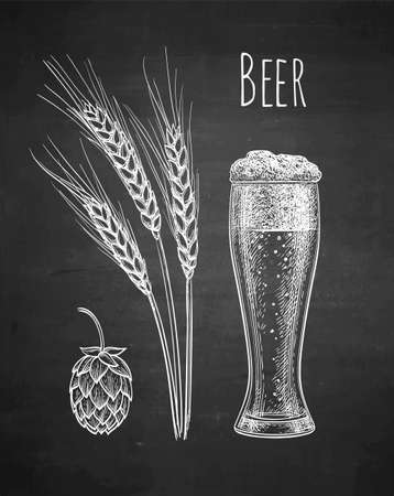 Chalk sketch of beerのイラスト素材