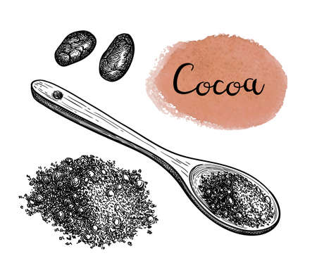 Ink sketch of cocoa powder.のイラスト素材