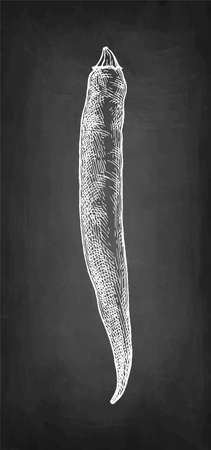 Chalk sketch of chile pepper on blackboard background. Hand drawn vector illustration. Retro styleのイラスト素材