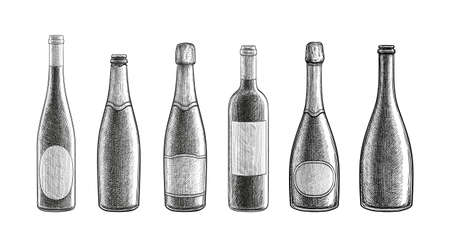 Champagne and wine bottles.のイラスト素材