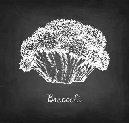 Chalk sketch of broccoli.のイラスト素材