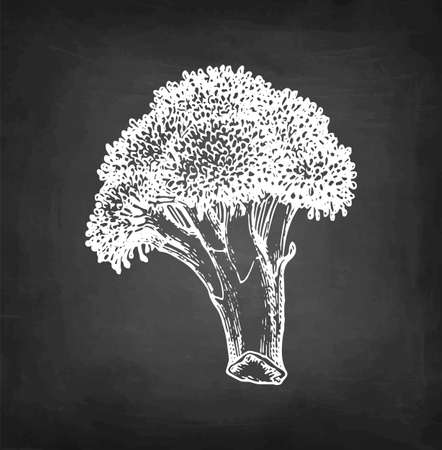 Chalk sketch of broccoli.のイラスト素材